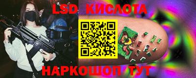 прущие грибы Краснокаменск
