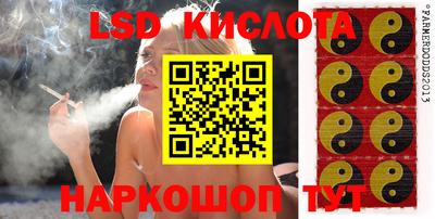 прущие грибы Краснокаменск