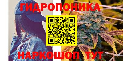 тгк Краснознаменск