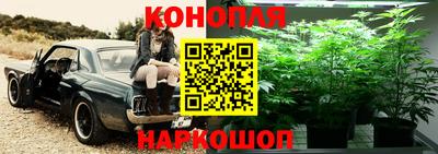 тгк Краснознаменск