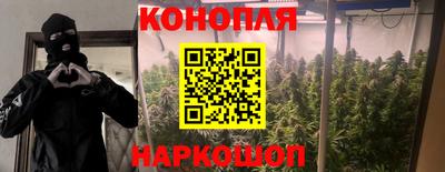 трава Краснодар